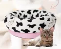 The Importance of Comfortable Pet Bed